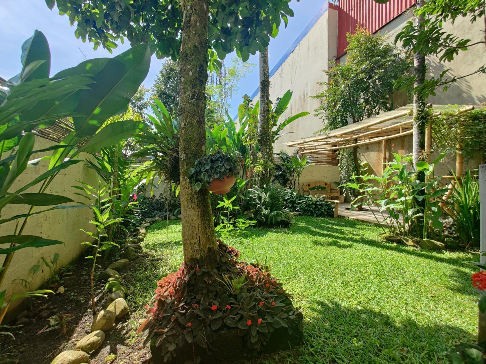 Casa De Lis Hotel & Tourist Info Centre Turrialba Zewnętrze zdjęcie