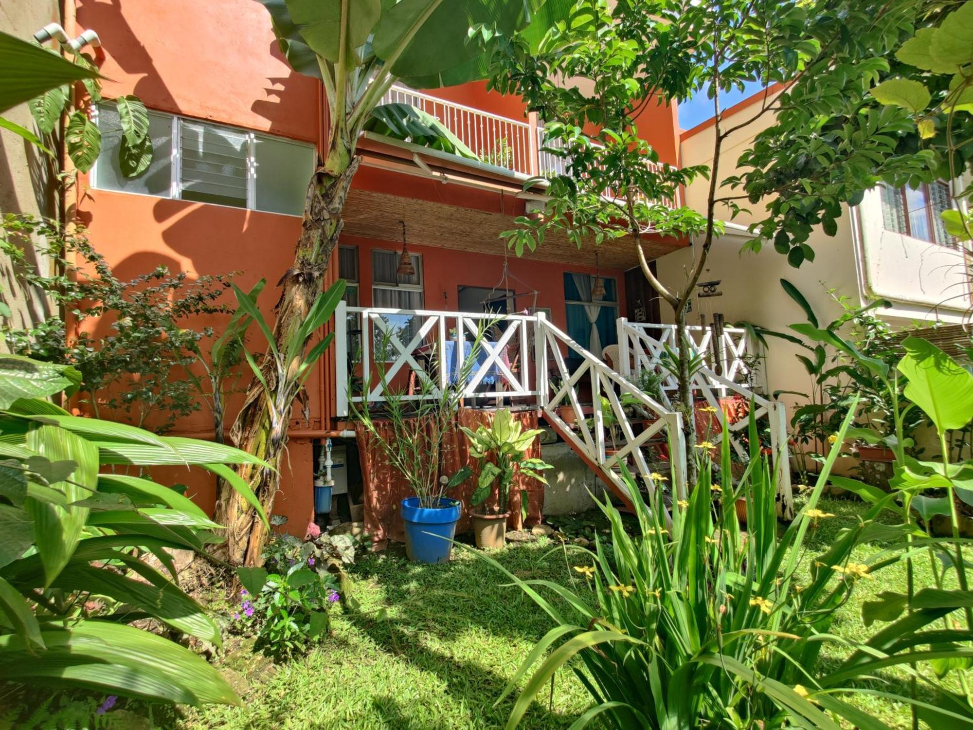Casa De Lis Hotel & Tourist Info Centre Turrialba Zewnętrze zdjęcie